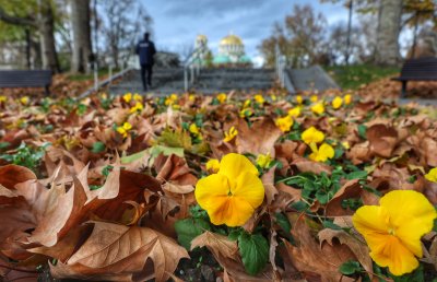 Захлаждане и валежи през нощта и утре - какво ще бъде времето през уикенда