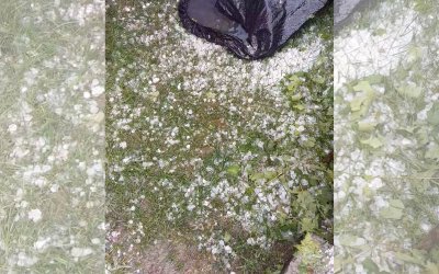 В Рибново описват щетите след градушката