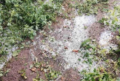 Градушка колкото орех удари карловското село Горни Домлян (СНИМКИ)