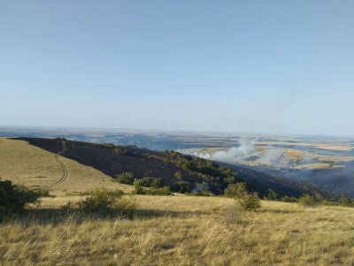 Два от трите фронта на пожара в Пъстрина планина Монтанско са потушени (СНИМКИ И ВИДЕО)