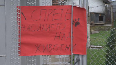 Мъченията на животни са извършвани в рамките на 2-3 години