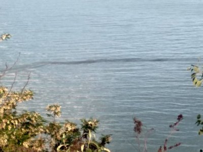След проверка: Няма открити източници на замърсяване на морето край Варна