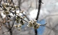 Опасно силни ветрове в почти цялата страна
