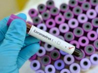 176 са новите случаи на коронавирус
