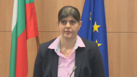 МВР и "Митници" също ще подават сигнали до Лаура Кьовеши