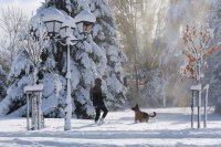 Термометрите скачат до 14° - ще има ли сняг на Коледа