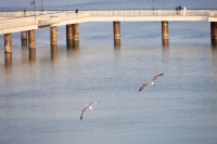 Туристическият бранш представи пред министъра на туризма проблемите по Южното Черноморие