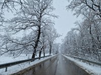 АПИ призова шофьорите да тръгват на път със зимни гуми