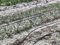 Без ток останаха някои населени места заради проливни дъждове и градушки