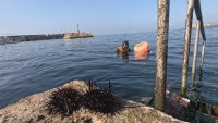 Гмуркачките Хейньос - невероятни истории от южнокорейския остров Чеджу