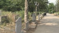 Лошо състояние на Малашевските гробища в София